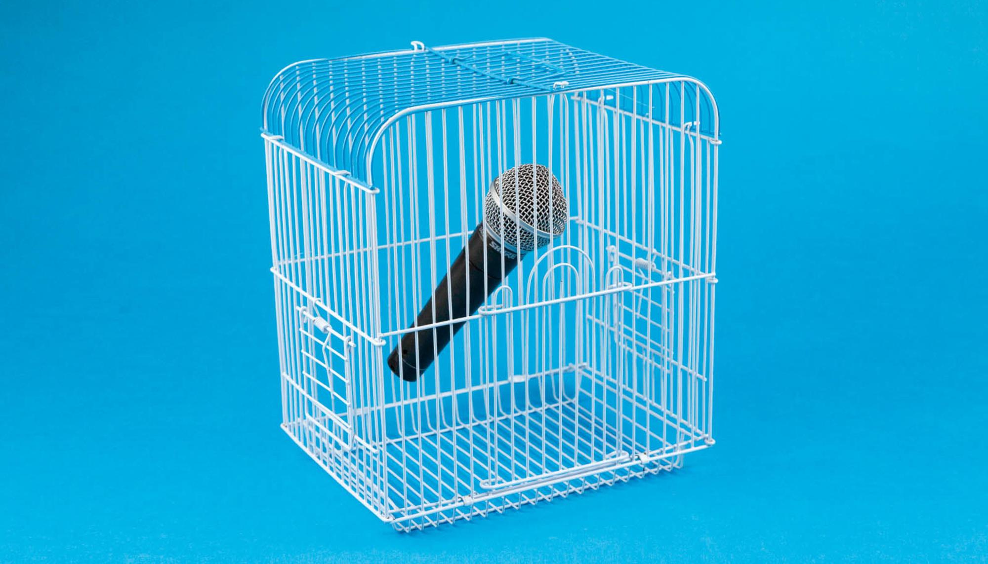 Jaula libertad de expresión